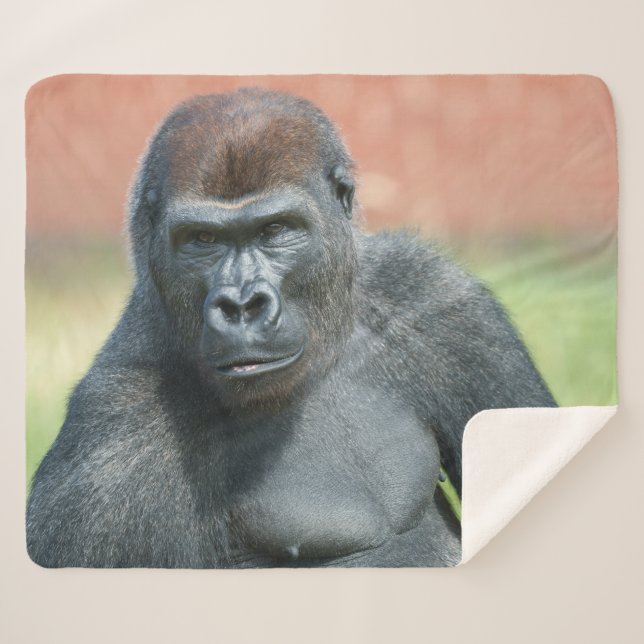 Cobertor Sherpa Blackback Gorilla Lope Retrato (Frente (Horizontal))