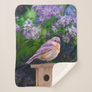 Cobertor Sherpa Bluebird oriental na neve - Foto original