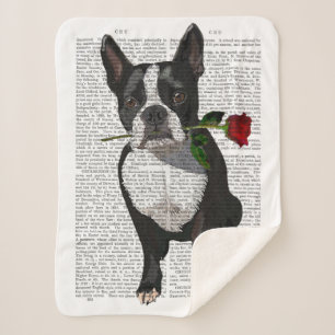 Cobertor Sherpa Boston Terrier com Rosa em Boca