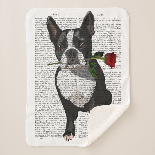 Cobertor Sherpa Boston Terrier com Rosa em Boca (Frente)