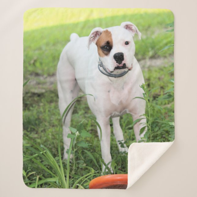 Cobertor Sherpa Boxer (Frente)