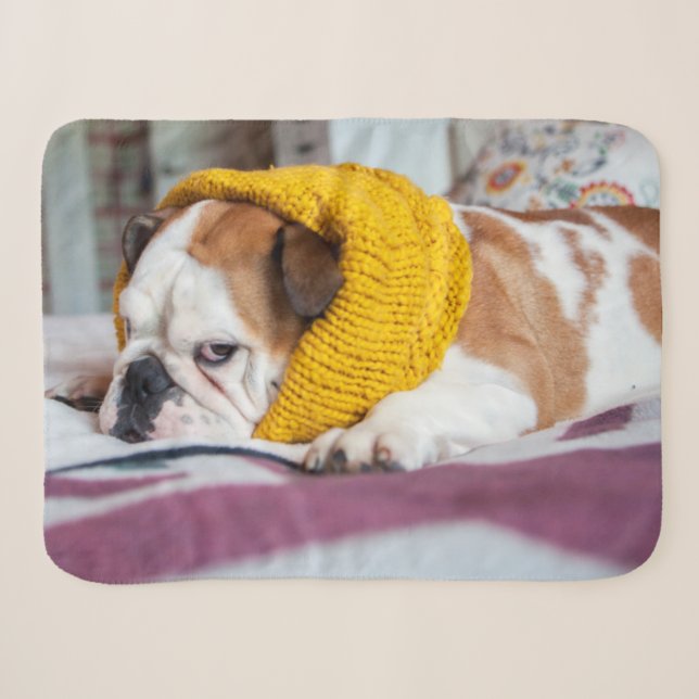 Cobertor Sherpa Buldogue inglês das imagens | de Getty (Frente (Horizontal))