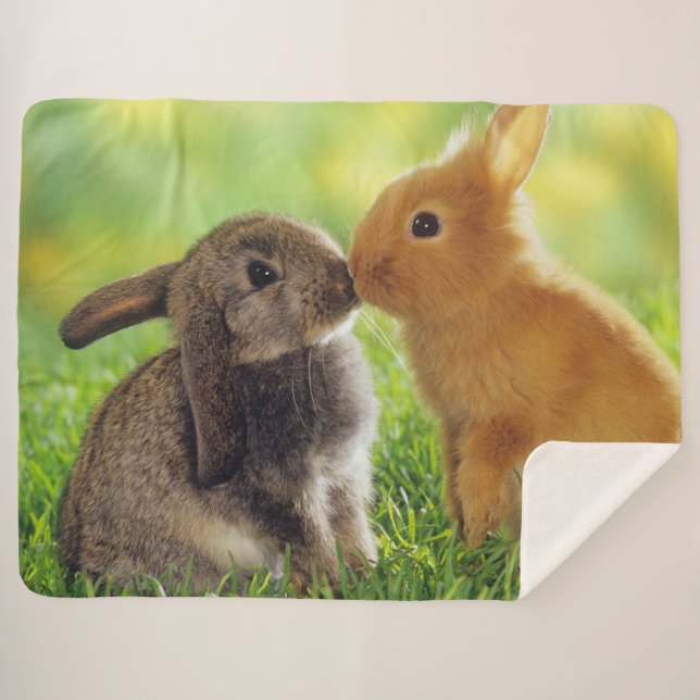 COBERTOR SHERPA BUNNIES DE BEIJO (Frente (Horizontal))