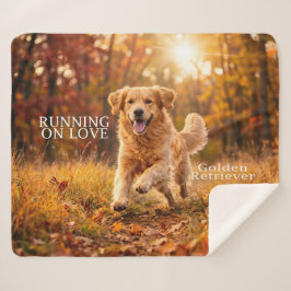 Cobertor Sherpa Cachorro Golden Retriever Correndo com Alegria