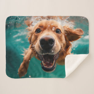 Cobertor Sherpa Cachorro Golden Retriever Feliz Nadando Submerso