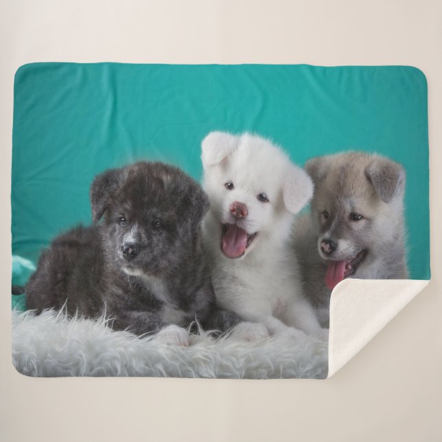 Cobertor Sherpa Cachorros (Frente (Horizontal))