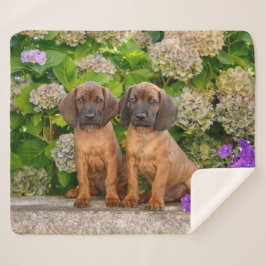 Cobertor Sherpa Cachorros de Caça da Baviera, Cute Bavarian, com F