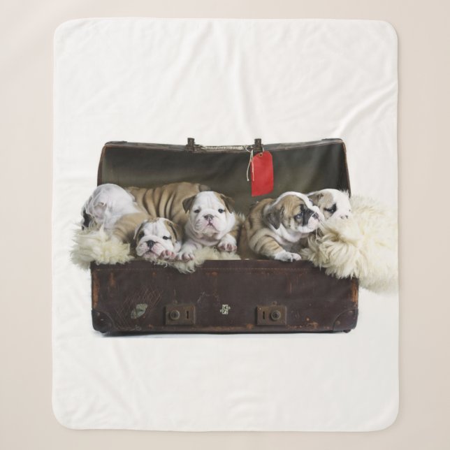 Cobertor Sherpa Cachorros-De-Cama Em Mala Engraçada (Frente)