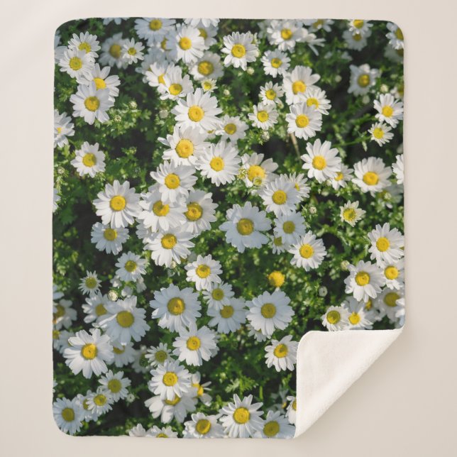 Cobertor Sherpa Campo primavera Daisy: Fundo Serene (Frente)