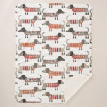 Cobertor Sherpa Cão de Enchimento<br><div class="desc">Enchidos bonitos de Dachshund ou cachorros-salsicha em tricô malhado. Perfeito para amantes de cachorros e ambulantes de cães.</div>