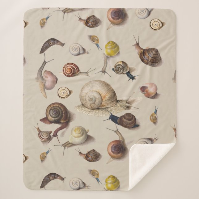 Cobertor Sherpa Caracóis de Gastropodo Gastropodo Jardim das Serra (Frente)
