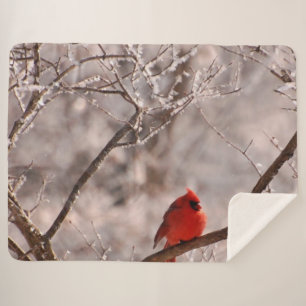 COBERTOR SHERPA CARDINAL