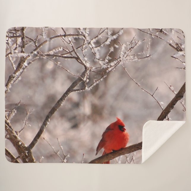 COBERTOR SHERPA CARDINAL (Frente (Horizontal))