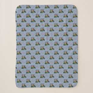Cobertor Sherpa Cardinals Corner (Azul Claro)
