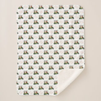 Cobertor Sherpa Cardinals Corner (escolha a cor)