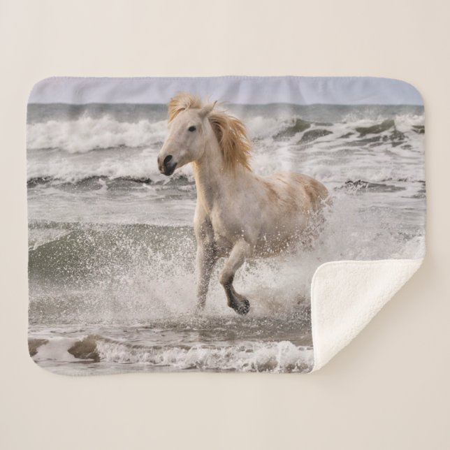 Cobertor Sherpa Cavalo Camargue saindo da surf (Frente (Horizontal))