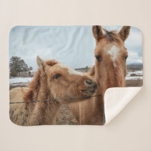 Cobertor Sherpa Cavalo-Mãe e Galo