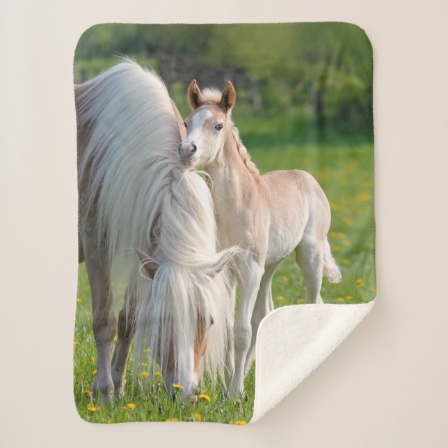 Cobertor Sherpa Cavalos De Haflinger, Um Rato De Bebê Com Foto De  (Frente)