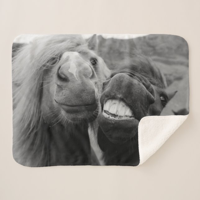 Cobertor Sherpa Cavalos de sorriso das imagens | de Getty (Frente (Horizontal))
