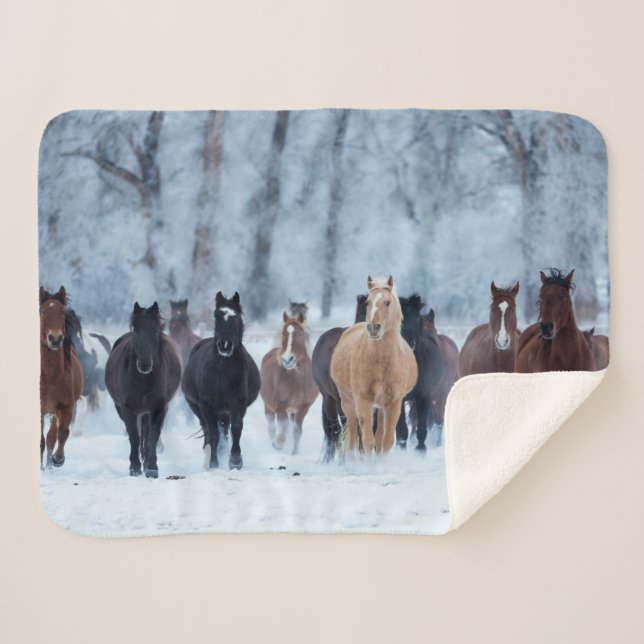 Cobertor Sherpa Cavalos no Frio (Frente (Horizontal))