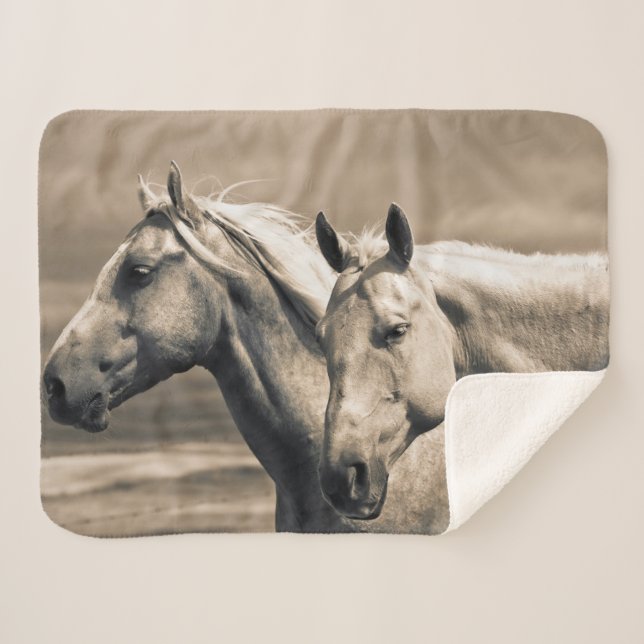 Cobertor Sherpa Cavalos Quarto de Milha na Pradaria Canadense (Frente (Horizontal))