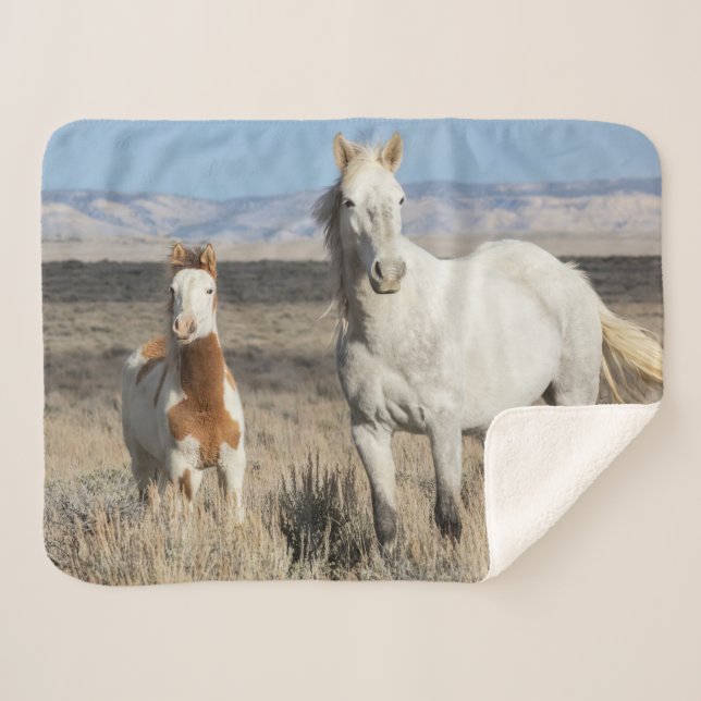 Cobertor Sherpa Cavalos Selvagens em Casa na Bacia de Sandwash (Frente (Horizontal))