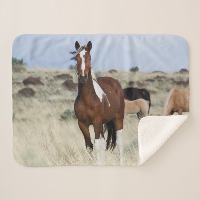 Cobertor Sherpa Cavalos Selvagens, Montanhas Steens (Frente (Horizontal))