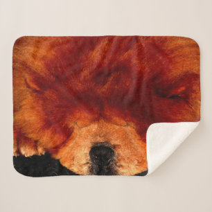 Cobertor Sherpa Chow Chow Sbcn