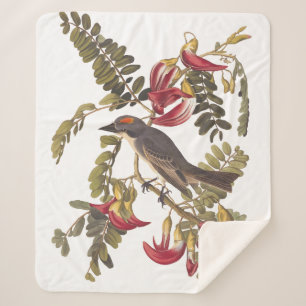 Cobertor Sherpa Cinza Kingbird Audubon Bird em Flor