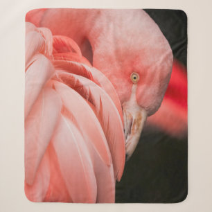 COBERTOR SHERPA CLOSE UP PHOTOGRAPHY OF A PINK BIRD