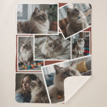 Cluster de fotos Brown - 7 fotos dispersas