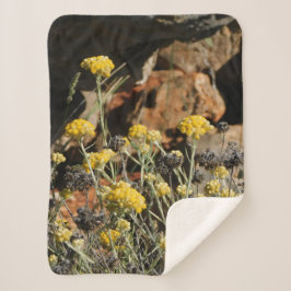 Cobertor Sherpa Cobertura