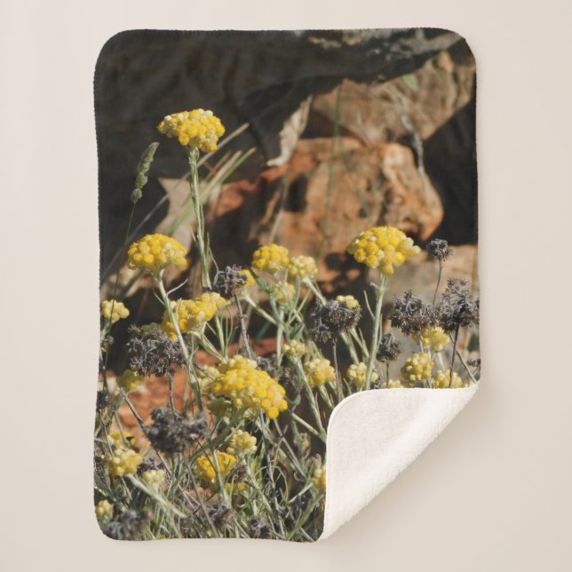 Cobertor Sherpa Cobertura (Frente)