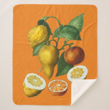 COBERTURA DE FRUTA DE CITRUS