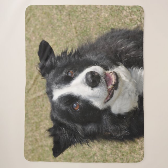 Cobertor Sherpa Collie de fronteira (Frente)
