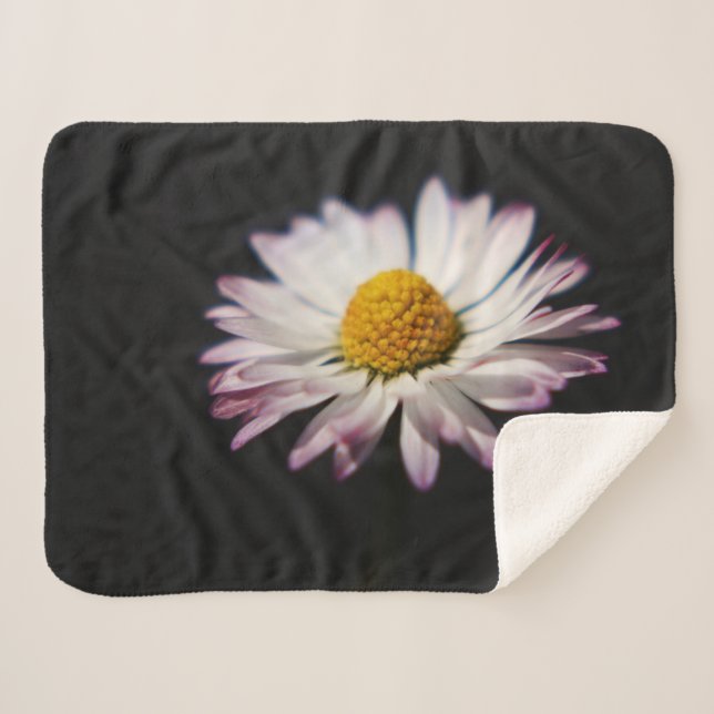 Cobertor Sherpa Common Daisy Sbcna (Frente (Horizontal))
