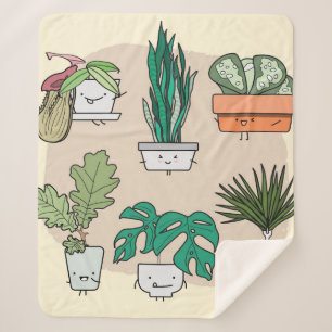 Cobertor Sherpa Conjunto de lindas plantas caseiras em potes. botâ