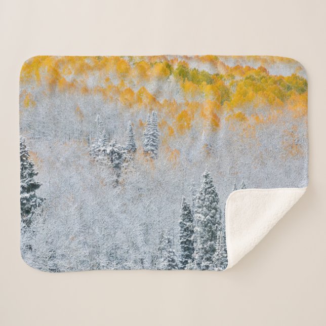 Cobertor Sherpa Cores de Outono dos Álamos | Montanhas Rochosas, C (Frente (Horizontal))