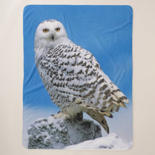 Cobertor Sherpa Coruja de Neve