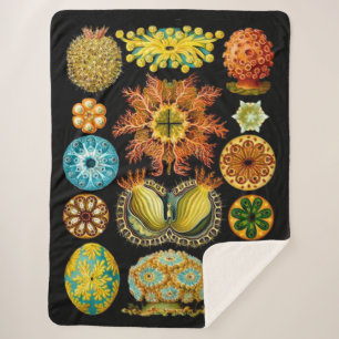 Cobertor Sherpa criaturas do mar da vida marinha impressão