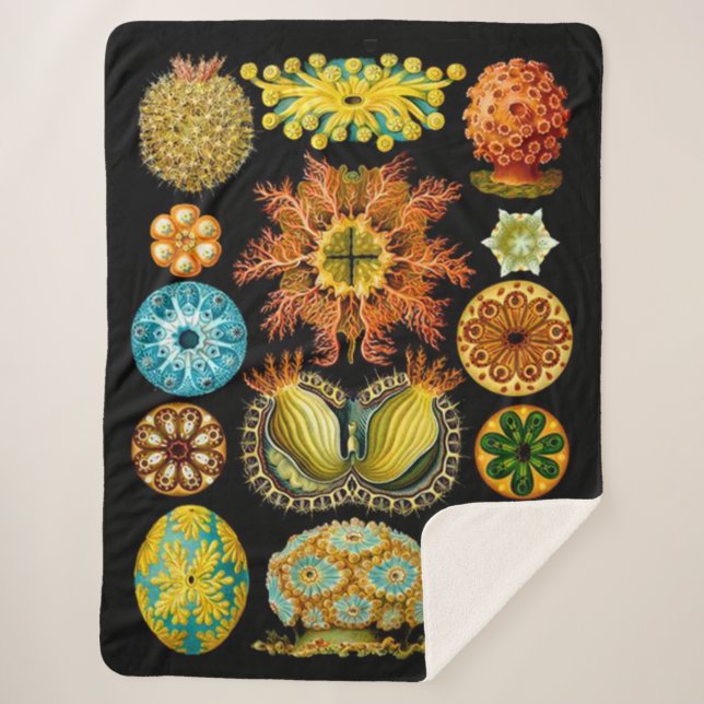 Cobertor Sherpa criaturas do mar da vida marinha impressão (Frente)