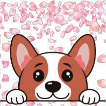 Cute - Pet impresso em aberto