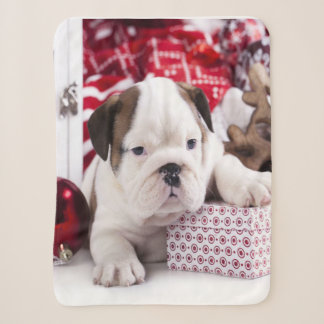 Cobertor Sherpa Cute Puppy English Buldogue | Natal engraçado