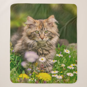 Cobertor Sherpa Cute Tabby Maine Coon Kitten Cat Head Foto