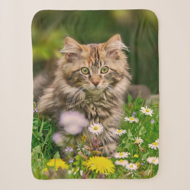Cobertor Sherpa Cute Tabby Maine Coon Kitten Cat Head Foto (Frente)
