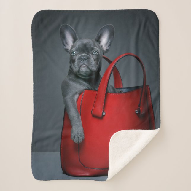 Cobertor Sherpa Cutest Baby Animals | French Bulldog in Handbag (Frente)
