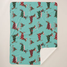 Dachshances Natal Vestindo Suéter e Santa Hat