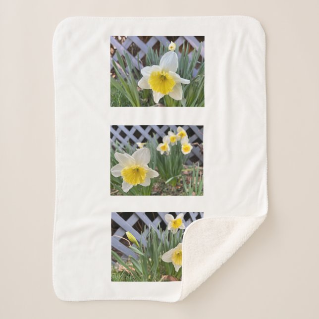Cobertor Sherpa Daffodils Amarelos Sherpa Blanket (Frente)