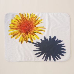 Cobertor Sherpa Dandelion e Shadow sbcna