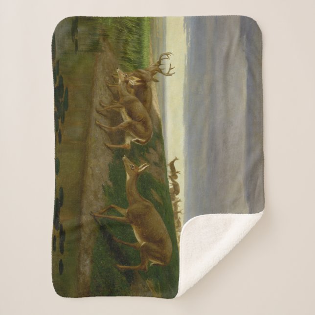 Cobertor Sherpa Deer on the Prairie (por William Holbrook Beard) (Frente)